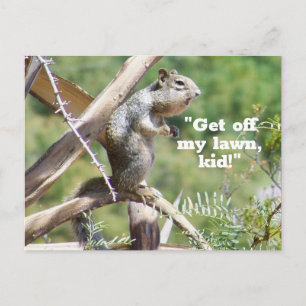 Funny Angry Squirrel Postcard