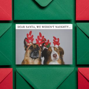 Funny Animal Custom Dog Photo Christmas Picture Holiday Card