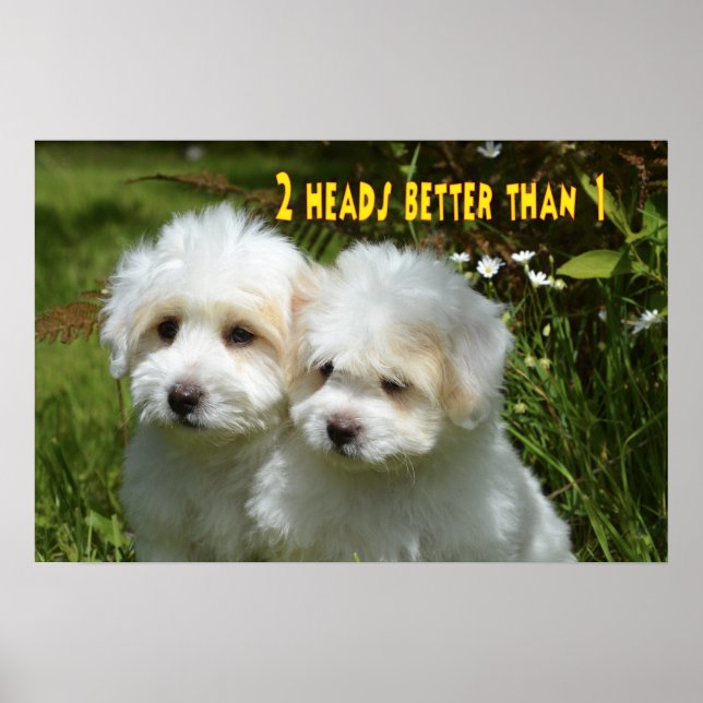 Funny animal memes Dog memes Humourous Photos Poster (Front)