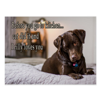 Funny animal memes Dog memes Humourous Photos Poster