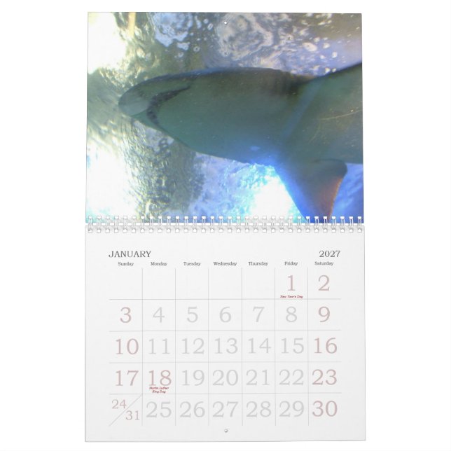 Funny Animals 2012 Calendar (Jan 2027)