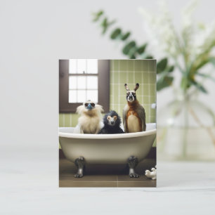 Funny animals in bathroom postcard