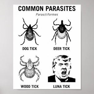 Funny Anti Trump Common Parasite Luna Tick Poster