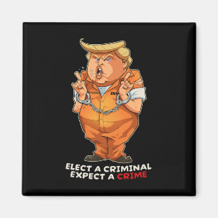 Funny Anti-trump Elect A Criminal Crimes Funny Ant Magnet