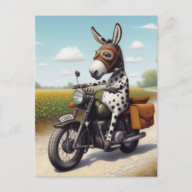 Funny Appaloosa Mule on a motorcycle  Postcard (Front)