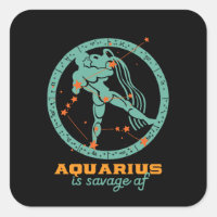 Funny Aquarius Zodiac Star Astrology Birthday