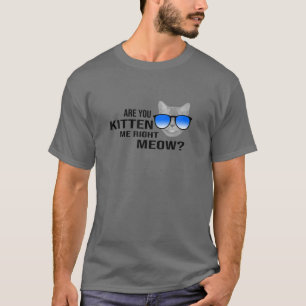 Funny Are You Kitten Me Right Meow Cat Lover T-Shirt