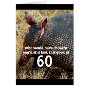funny armadillo custom birthday card humour