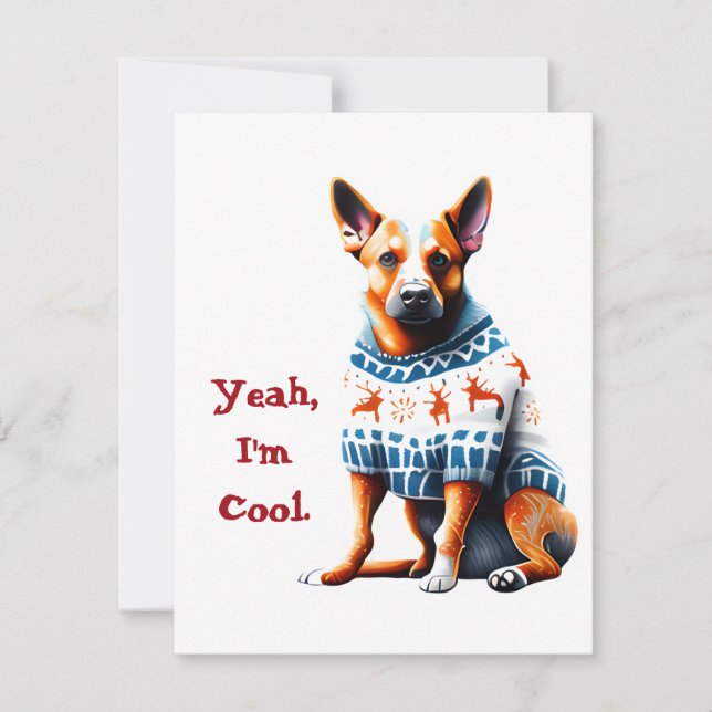Funny Australian Cattle Dog in Christmas Sweater Holiday Card (Front)