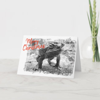 Funny Australian Christmas Greeting Card