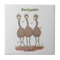 Funny Australian emu trio cartoon illustration