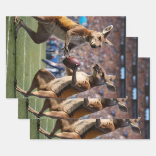 Funny Australian Kangaroos Playing Football, Wrapping Paper Sheet