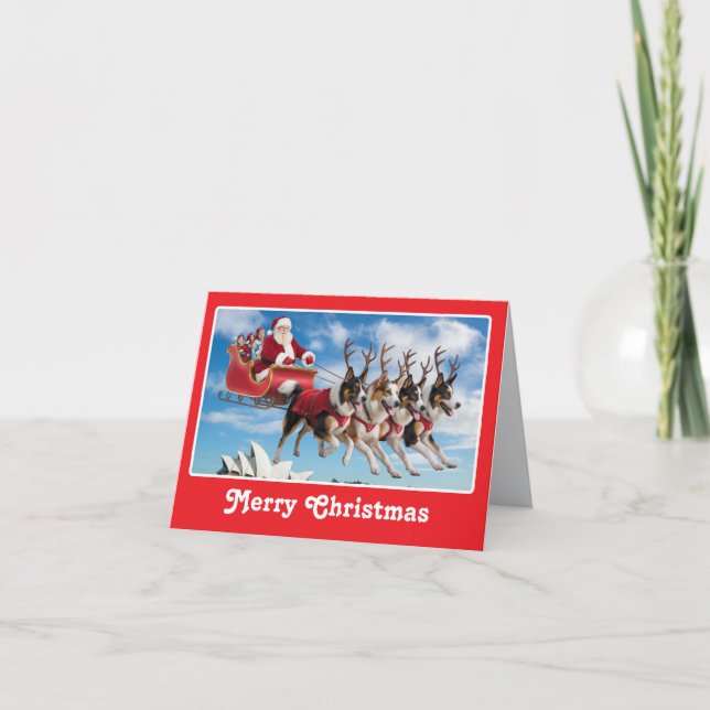 Funny Australian Shepherd Christmas Card (Front)