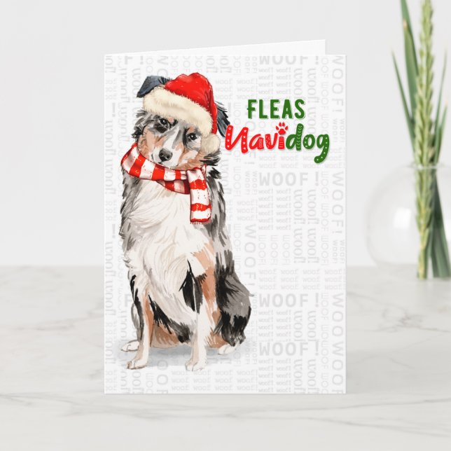 Funny Australian Shepherd Dog Fleas Navidog Holiday Card (Front)