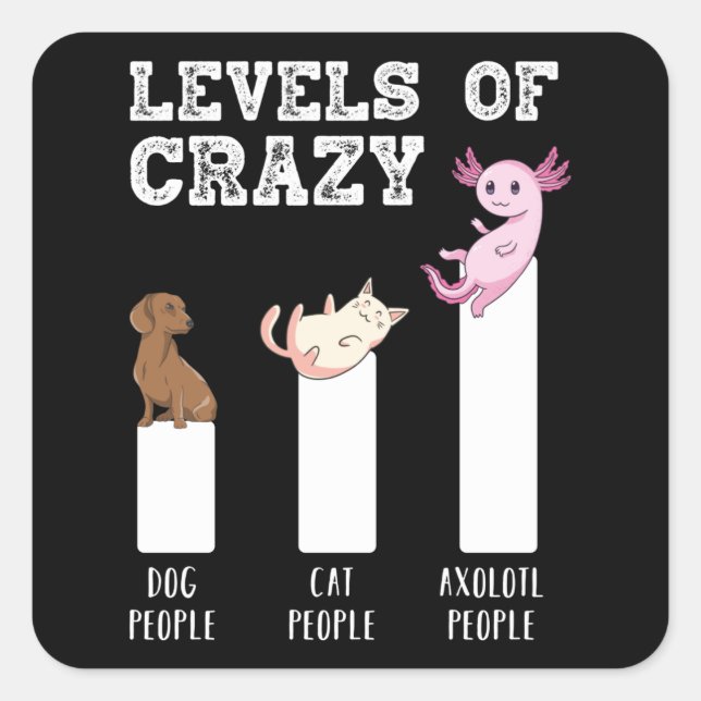 Funny Axolotl Levels of Crazy Animals Lover Gift Square Sticker (Front)