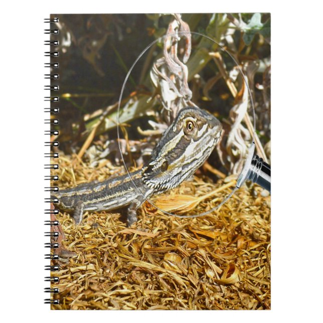 Funny Baby Bearded Dragon, Notebook (Front)