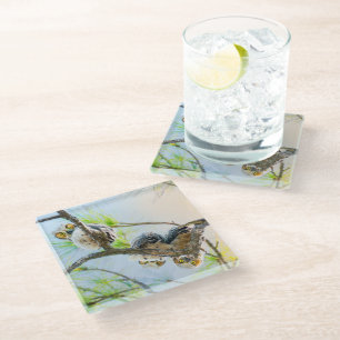 Funny Baby Owls On A Limb Glass Coaster