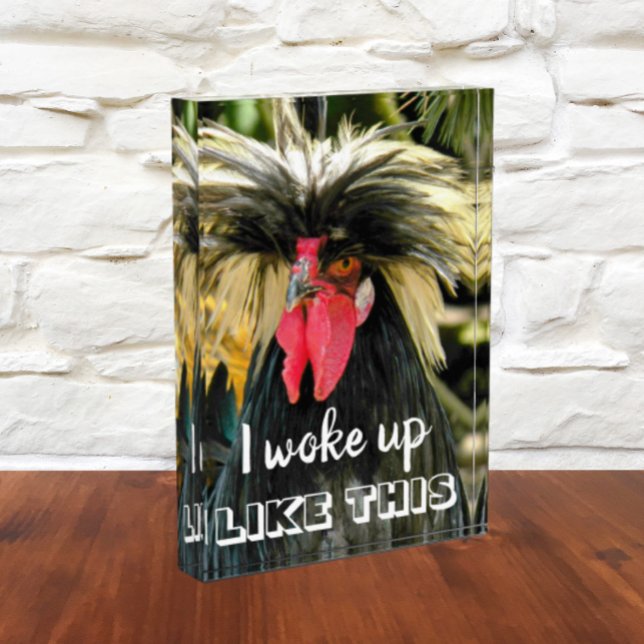 Funny Bad Hair Chicken Meme Photo Block (In Situ)