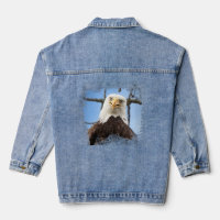Funny Bald Eagle Stare Wildife Nature Humour Moder