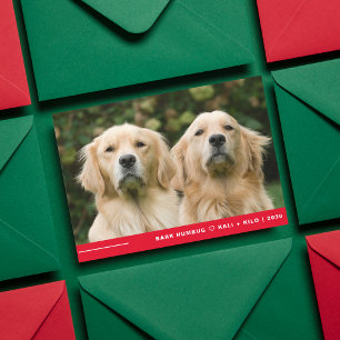 Funny Bark Humbug Dog Photo Christmas Personalised Holiday Card