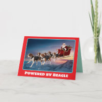Funny Beagle Christmas Holiday