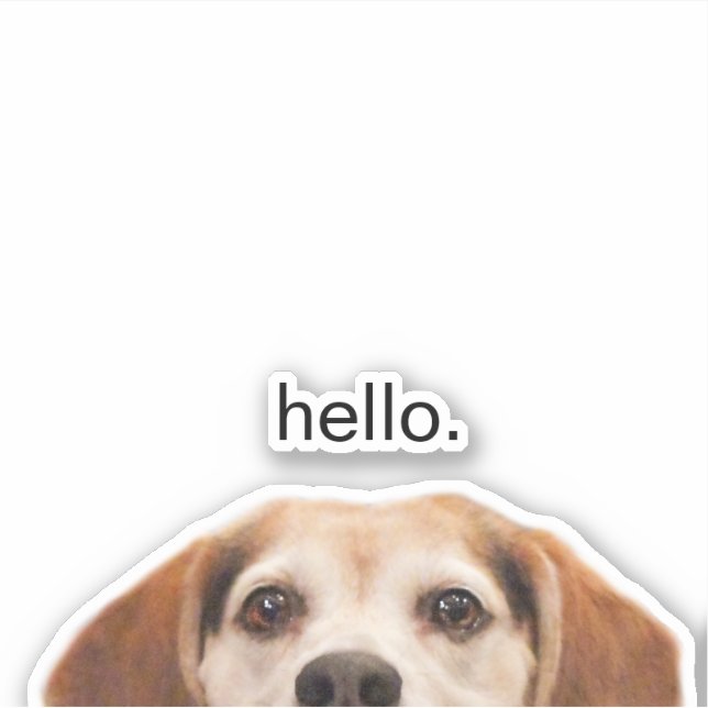 Funny Beagle Dog Half Face Hello (Front)