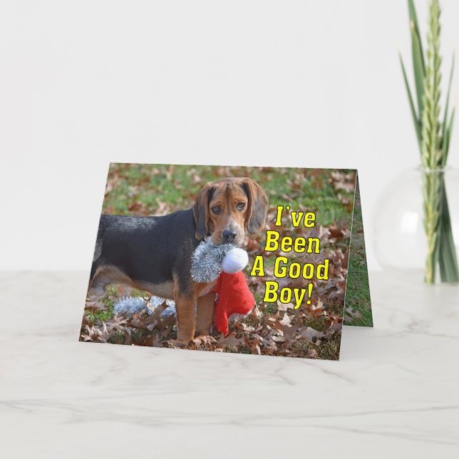 Funny Beagle I've Been A Good Boy Christmas Holiday Card (Front)