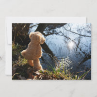 Funny bear being naughty on the potty.