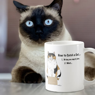 Funny Beige Calico Cat Box Humour Caught Coffee Mug