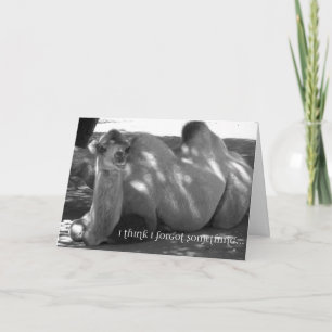 Funny Belated Birthday Card – Camel Humour Card