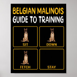 Funny Belgian Malinoi Guide To Training Dog Poster