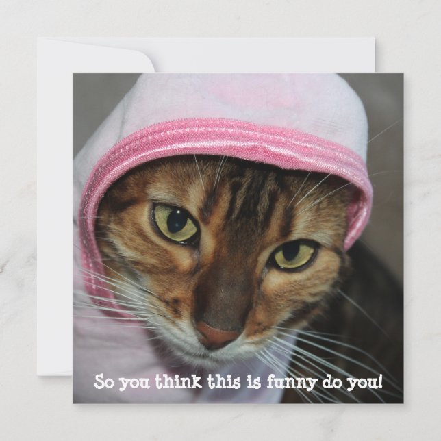 Funny Bengal Cat, "So you think this is funny..." Holiday Card (Front)