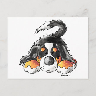 Funny Bernese Mountain Dog Cartoon Postcard