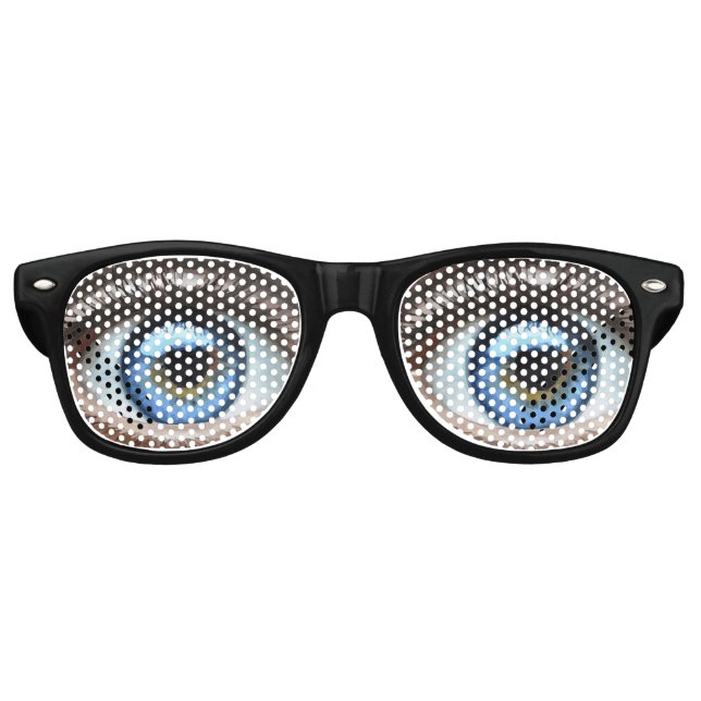 FUNNY big BUG EYES EYED SUNGLASSES   (Front)