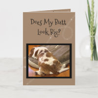Funny "Big Butt" Basset Hound Birthday Card