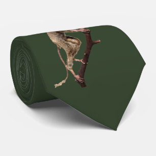 Funny Big Eye Taxidermy Primate   Monkey   Lemur Tie
