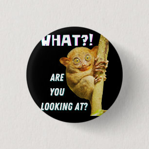 Funny Big Eyed Tarsier What Are You Looking At 3 Cm Round Badge