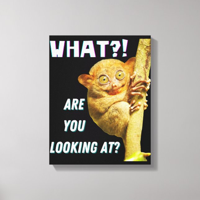 Funny Big Eyed Tarsier What Are You Looking At Canvas Print (Front)