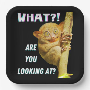 Funny Big Eyed Tarsier What Are You Looking At Paper Plate