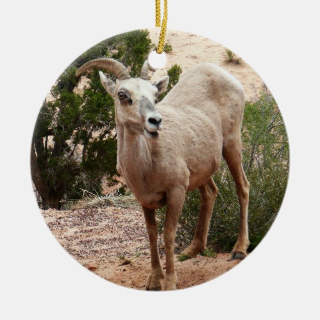Funny Bighorn Sheep at Zion National Park Ceramic Tree Decoration (Front)