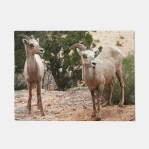 Funny Bighorn Sheep at Zion National Park Doormat