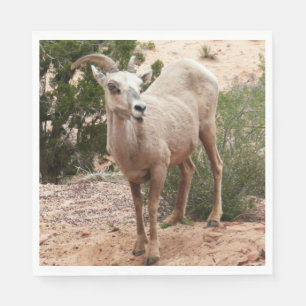 Funny Bighorn Sheep at Zion National Park Napkin