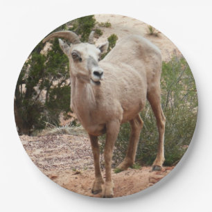 Funny Bighorn Sheep at Zion National Park Paper Plate