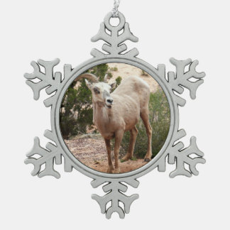 Funny Bighorn Sheep at Zion National Park Snowflake Pewter Christmas Ornament