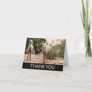 Funny Bighorn Sheep at Zion National Park Thank You Card