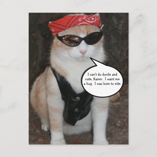 Funny Biker Cat Meme Postcard (Front)