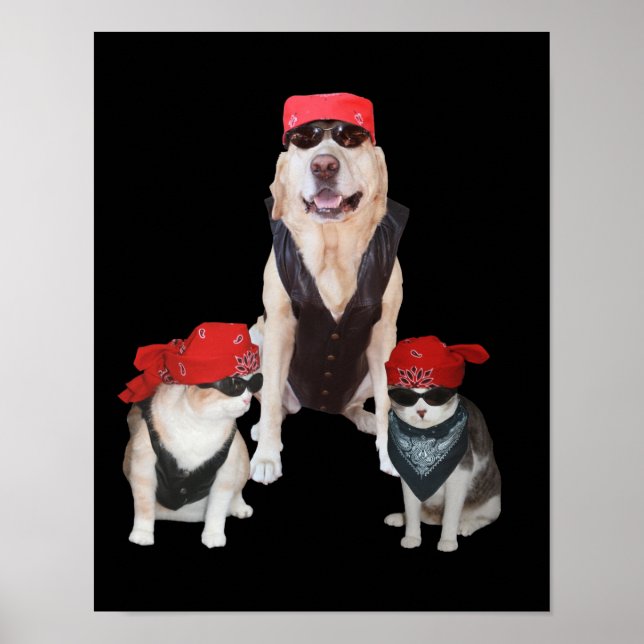 Funny Biker Pets Poster (Front)