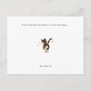 Funny Bird Cat Birthday Card. Holiday Postcard
