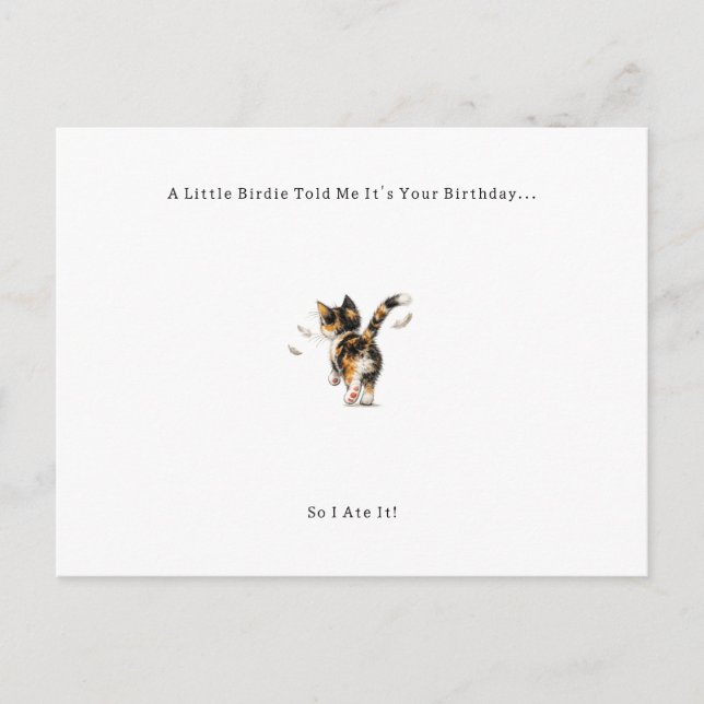 Funny Bird Cat Birthday Card. Holiday Postcard (Front)