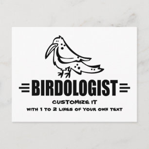 Funny Bird Postcard